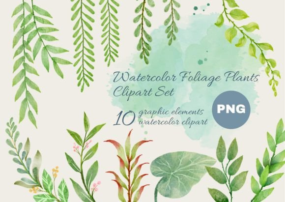 Download Watercolor Foliage Plants Clipart Set - Foliage Collection