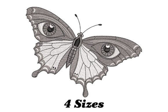 Download Beautiful Moth - Beautiful Collection